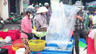 Chợ Cá Cồn Chà в Phan Thiết: чем удивляет главный рынок морепродуктов?