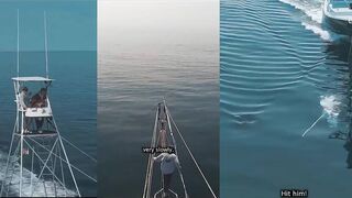 Подводная охота на гигантского синего тунца гарпун в руках и бешеный рывок в глубине