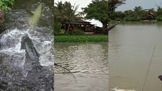 Большая рыба в Таиланде: мифы и реальность о морской рыбалке на Пхукете и соседних островах