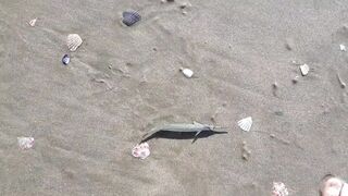 MUI NE пляжный день и рыбалка с большим уловом местных рыбаков