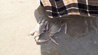 MUI NE пляжный день и рыбалка с большим уловом местных рыбаков