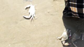 MUI NE пляжный день и рыбалка с большим уловом местных рыбаков