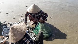 MUI NE пляжный день и рыбалка с большим уловом местных рыбаков