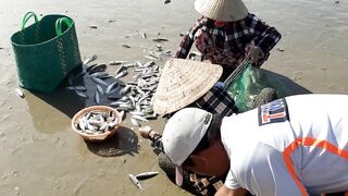 MUI NE пляжный день и рыбалка с большим уловом местных рыбаков