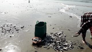 MUI NE пляжный день и рыбалка с большим уловом местных рыбаков