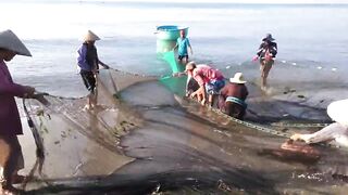 MUI NE ловля рыбы сетью на мелководье стоит ли повторять так же