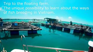 MUI NE утренний выход в море во VIỆT NAM и спокойный клев