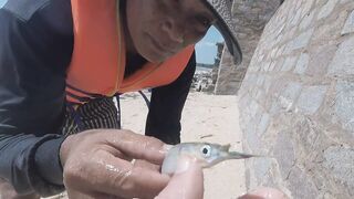 MUI NE как ловят рыбу местные рыбаки от рассвета до продажи