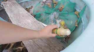 MUI NE как ловят рыбу местные рыбаки от рассвета до продажи