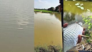 Полный чилл на берегу финальная часть рыбалки на тилапию у тихого деревенского пруда