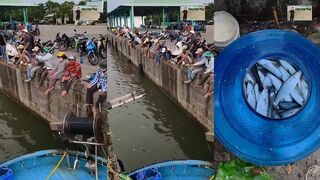 phan thiết: самый странный Câu cá и зачем вообще ловить именно так