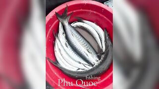 Морская рыбалка на Фукуоке Вьетнам что клюёт у берегов острова в Южно Китайском море