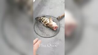 Морская рыбалка на Фукуоке Вьетнам что клюёт у берегов острова в Южно Китайском море