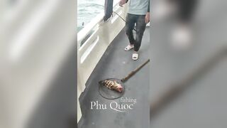 Морская рыбалка на Фукуоке Вьетнам что клюёт у берегов острова в Южно Китайском море