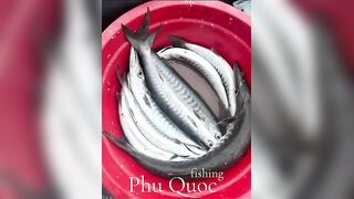 Морская рыбалка на Фукуоке Вьетнам что клюёт у берегов острова в Южно Китайском море