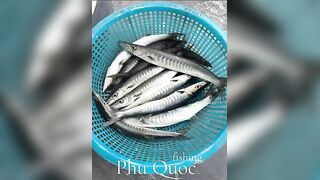 Морская рыбалка на Фукуоке Вьетнам что клюёт у берегов острова в Южно Китайском море