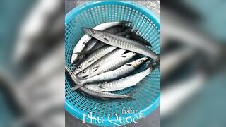 Морская рыбалка на Фукуоке Вьетнам что клюёт у берегов острова в Южно Китайском море