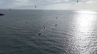 8 дней на Phú Quốc / Фукуок. морская рыбалка на Phú Quốc в одиночку. Кальмар не успевает