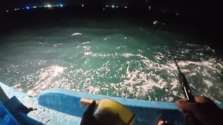 8 дней на Phú Quốc / Фукуок. морская рыбалка на Phú Quốc в одиночку. Кальмар не успевает