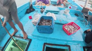 8 дней на Phú Quốc / Фукуок. морская рыбалка на Phú Quốc в одиночку. Кальмар не успевает