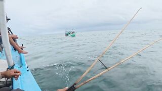 8 дней на Phú Quốc / Фукуок. морская рыбалка на Phú Quốc в одиночку. Кальмар не успевает