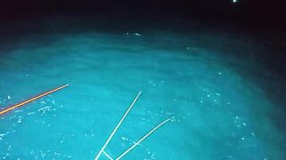 8 дней на Phú Quốc / Фукуок. морская рыбалка на Phú Quốc в одиночку. Кальмар не успевает