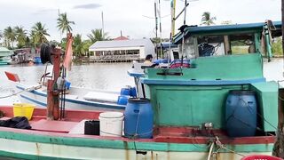 Phú quốc (Фукуок) улов скумбрии у Hoàng и Sơn день реально удался