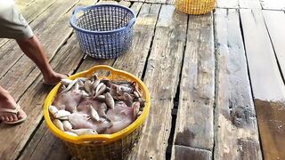 Phú quốc (Фукуок) улов скумбрии у Hoàng и Sơn день реально удался