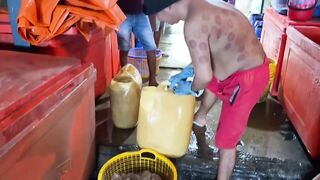 Phú quốc (Фукуок) улов скумбрии у Hoàng и Sơn день реально удался