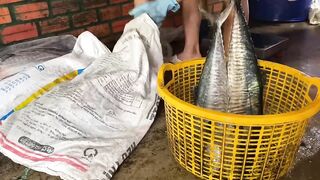 Phú quốc (Фукуок) улов скумбрии у Hoàng и Sơn день реально удался