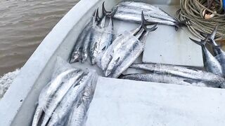 Phú quốc (Фукуок) улов скумбрии у Hoàng и Sơn день реально удался