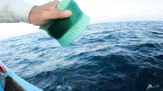 Ngày đầu ra khơi на đảo Phú Quý 2025 - морская рыбалка на Phú Quý. Что за монстр?