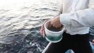 Ngày đầu ra khơi на đảo Phú Quý 2025 - морская рыбалка на Phú Quý. Что за монстр?