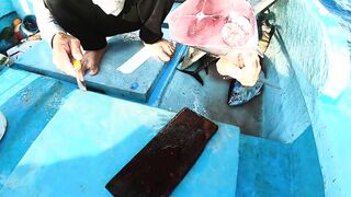 Ngày đầu ra khơi на đảo Phú Quý 2025 - морская рыбалка на Phú Quý. Что за монстр?