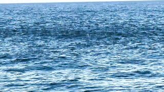 Ngày đầu ra khơi на đảo Phú Quý 2025 - морская рыбалка на Phú Quý. Что за монстр?