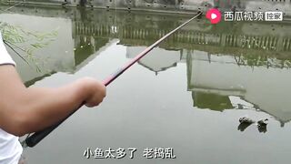 上海: купил снасти за 100+ и сменил 3 точки сколько рыбы вышло?