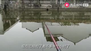 上海: купил снасти за 100+ и сменил 3 точки сколько рыбы вышло?