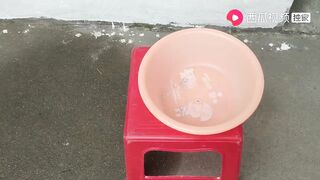 上海: купил снасти за 100+ и сменил 3 точки сколько рыбы вышло?