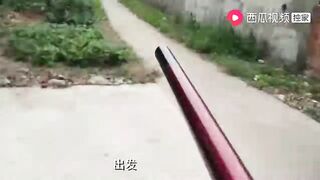 上海: купил снасти за 100+ и сменил 3 точки сколько рыбы вышло?