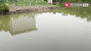 上海: купил снасти за 100+ и сменил 3 точки сколько рыбы вышло?