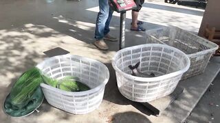 Однодневка в 上海 - где в пригороде найти спокойный клев?