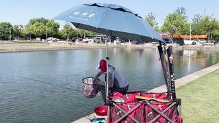 Однодневка в 上海 - где в пригороде найти спокойный клев?