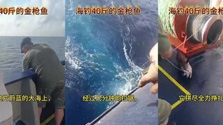 Морская рыбалка глазами моряка. 40斤 тунец пойман и отпущен