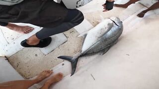 морская рыбалка на Hikkaduwa с GT короткий выезд и мощные рывки