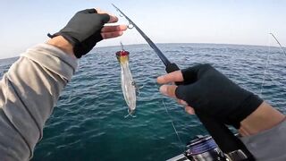 морская рыбалка на Hikkaduwa с GT короткий выезд и мощные рывки