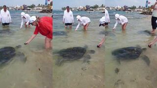 Sri Lanka два слова а вопросов много где искать рыбу без лодки