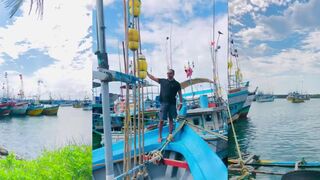 හික්කඩුව ධීවර වරාය утренний порт и шумная выгрузка улова на берегу