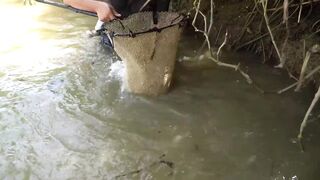Голыми руками за сомом и карпом в рисовом поле. Реально так можно?