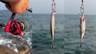 морская рыбалка в Вьетнаме с берега что клюет по факту