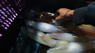 Трюк с наживкой на cá mú как зацепить правильно и не промахнуться